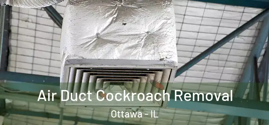  Air Duct Cockroach Removal Ottawa - IL
