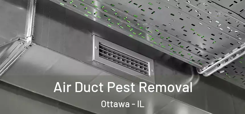 Air Duct Pest Removal Ottawa - IL