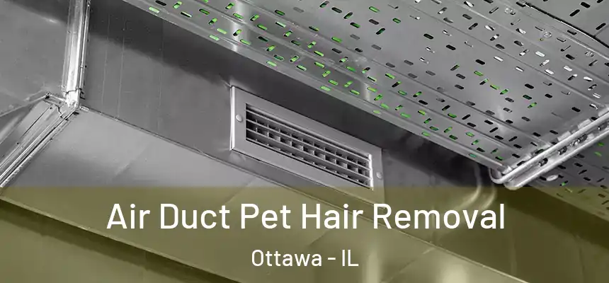 Air Duct Pet Hair Removal Ottawa - IL