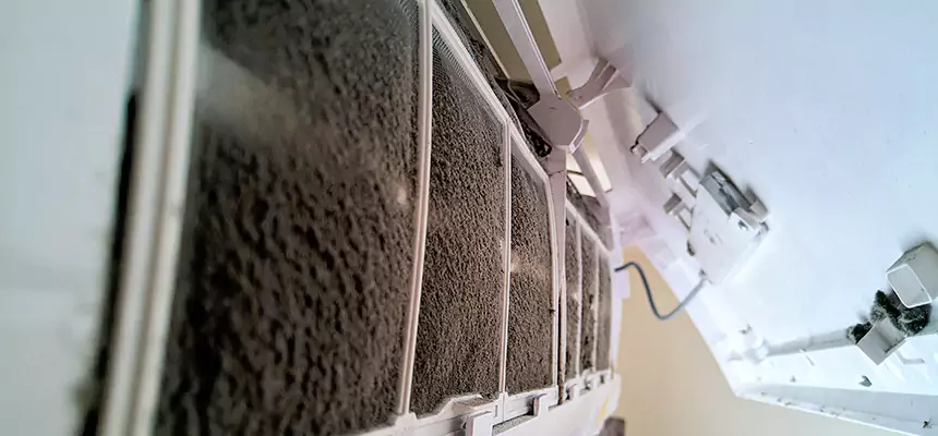 Preventive Air Duct Bacteria Removal in Ottawa