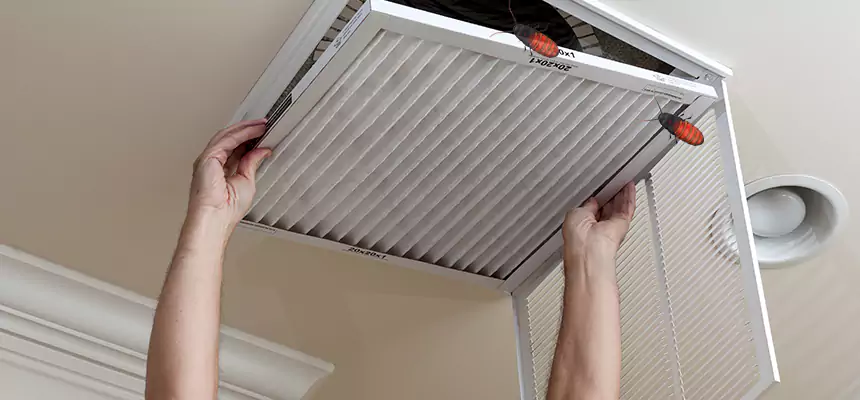 Preventive Cockroach-Proofing for Ducts in Ottawa