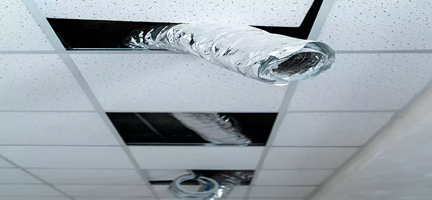 Affordable HVAC Sanitizing After Pest Removal in Ottawa