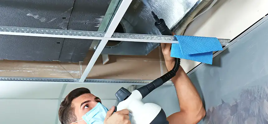 Our Air Duct Rodent Removal Services in Ottawa, IL