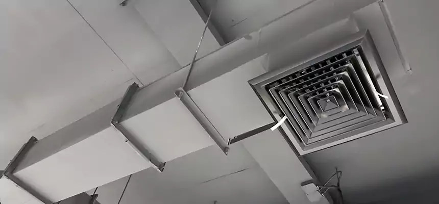 Our Rodent Droppings In Vents Services in Ottawa, IL