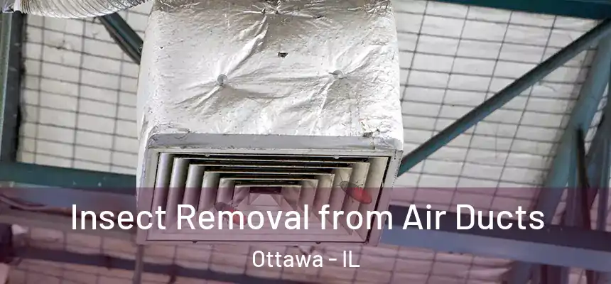  Insect Removal from Air Ducts Ottawa - IL