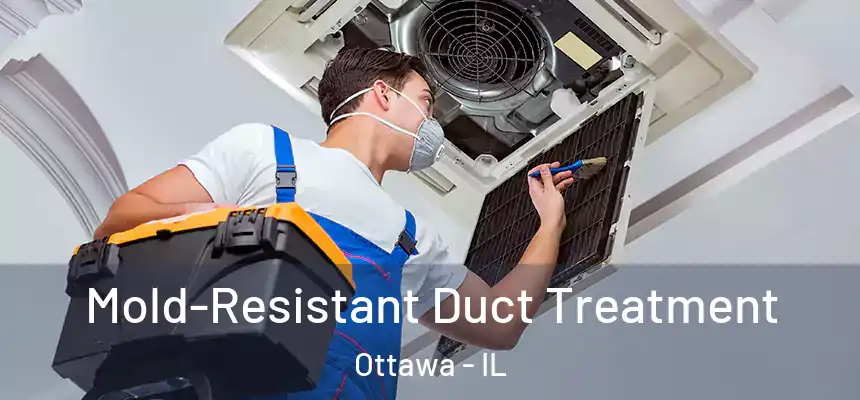  Mold-Resistant Duct Treatment Ottawa - IL