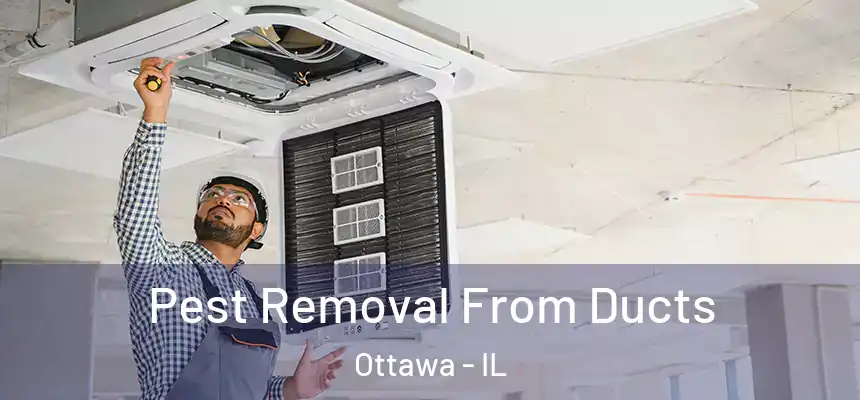  Pest Removal From Ducts Ottawa - IL