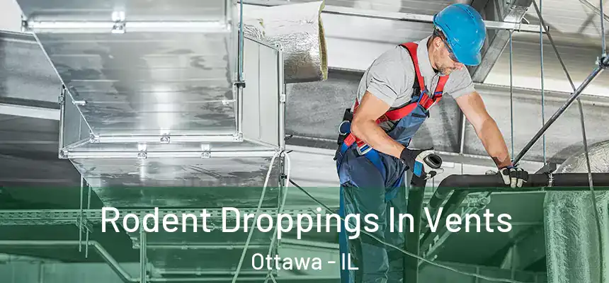 Rodent Droppings In Vents Ottawa - IL