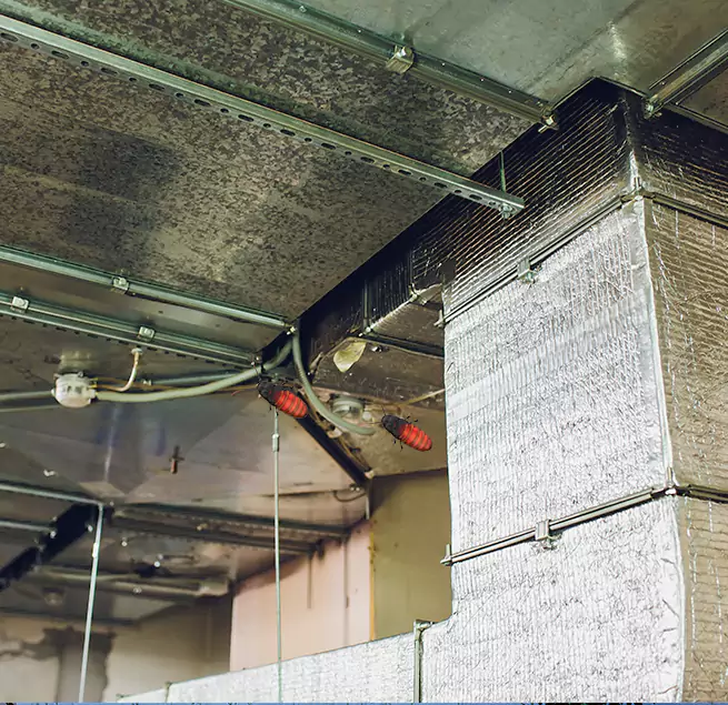 Why Homeowners & Businesses Trust Us in Ottawa, IL?