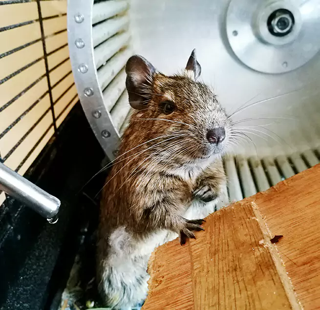 Why Homeowners & Businesses Trust Us Ottawa, IL?