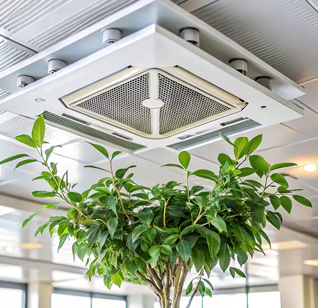 Why Homeowners & Businesses Trust Us in Ottawa, IL?