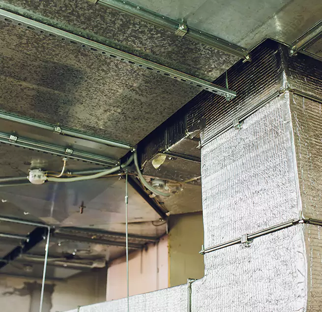 Why Homeowners & Businesses Trust Us in Ottawa, IL?